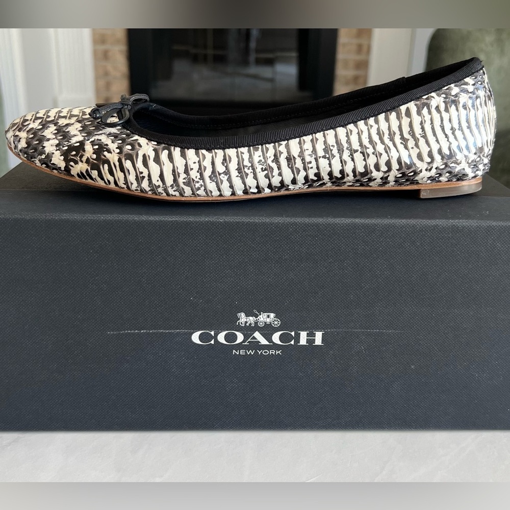 Coach Flatiron Ballet Flats - Black and White Snakeskin - Picture 4 of 10